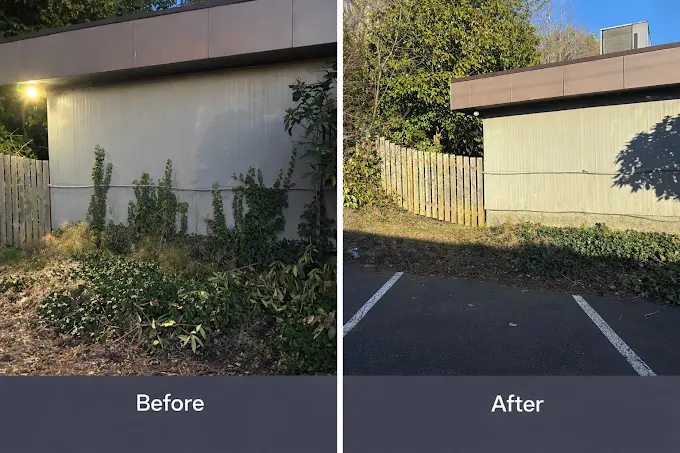 Before and after photos of brush and overgrowth cleared from a property edge